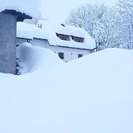 Greuth Hutte * タルヴィージオ