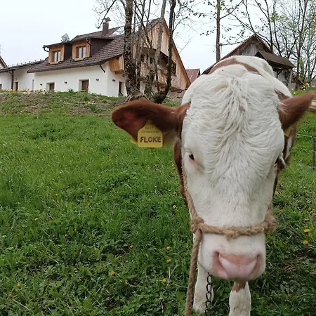 Nyaraló Greuth Hutte *