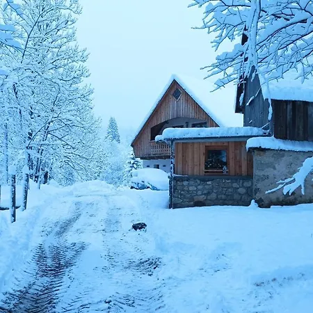 Semesterbostad Greuth Hutte
