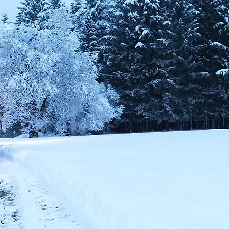 Greuth Hutte * Tarvisio