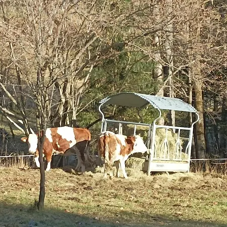 Nyaraló Greuth Hutte Tarvisio