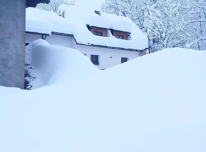 Greuth Hutte * Tarvisio