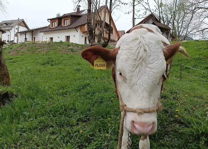 Holiday home Greuth Hutte *