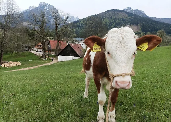 Greuth Hutte * Tarvisio