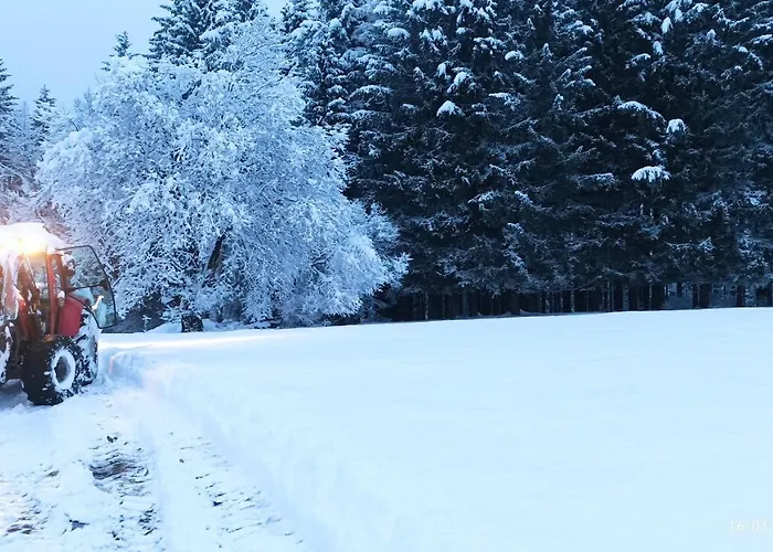 Greuth Hutte * Tarvisio