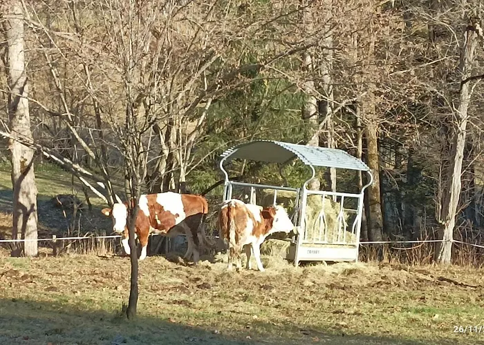 Vakantiehuis Greuth Hutte Tarvisio